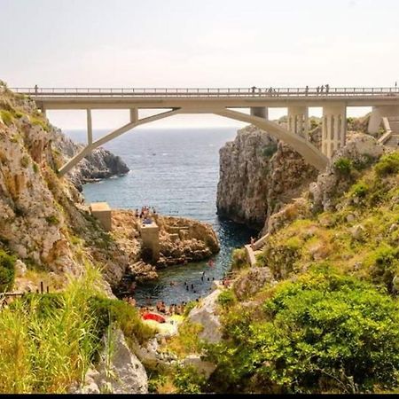 Casa Vacanze "Il Carrubo" Gagliano del Capo Exterior foto